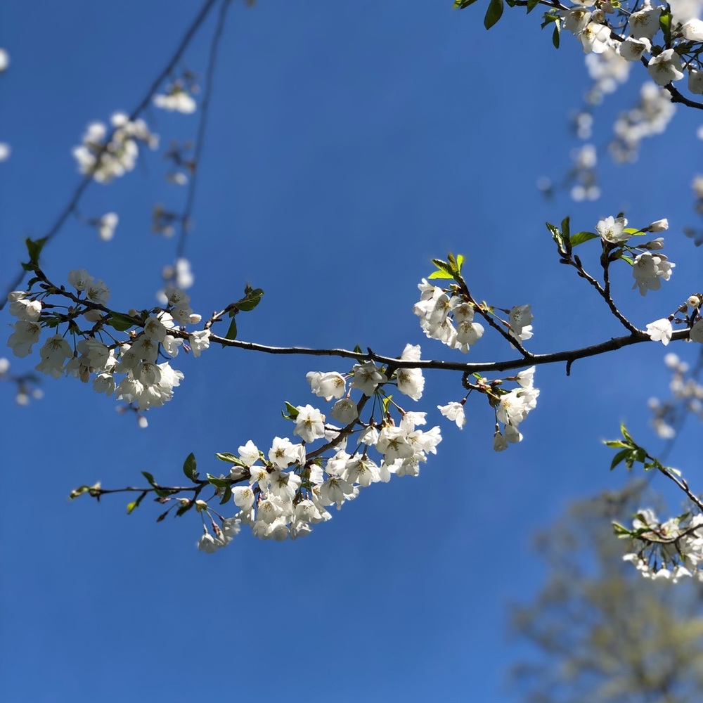 Meet your Posher, Lucy